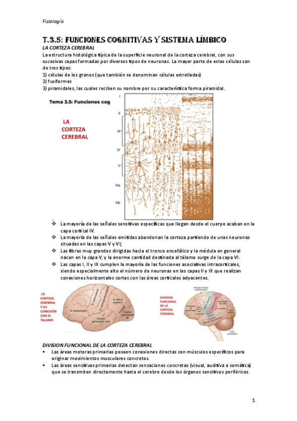 T.3.5.-Fisiologia.pdf