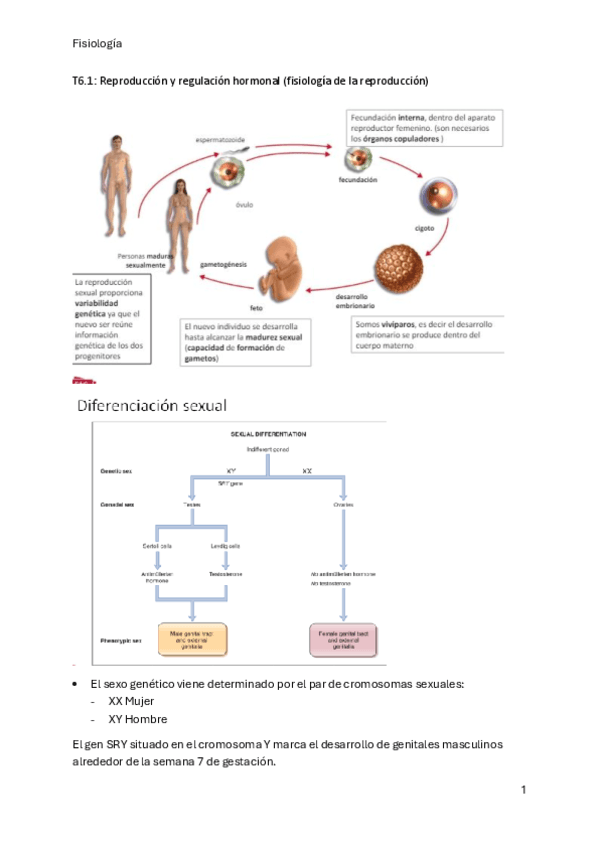 T6.1-fisiologia.pdf