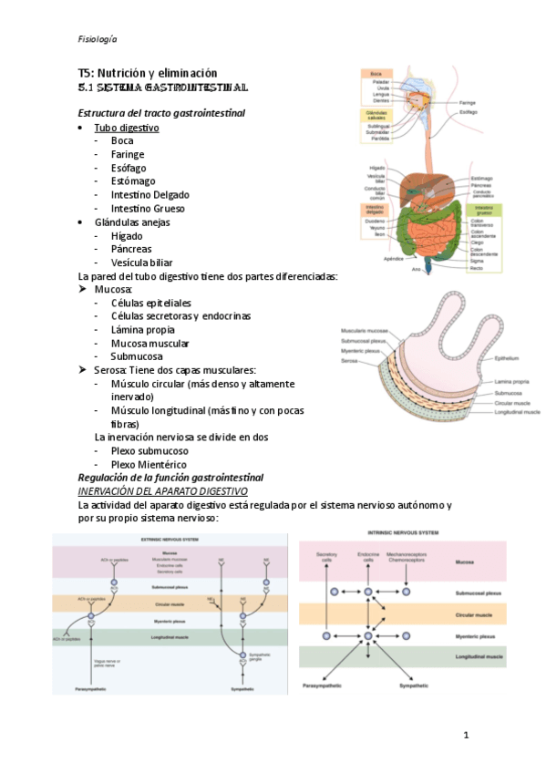 T5-fisiologia.pdf