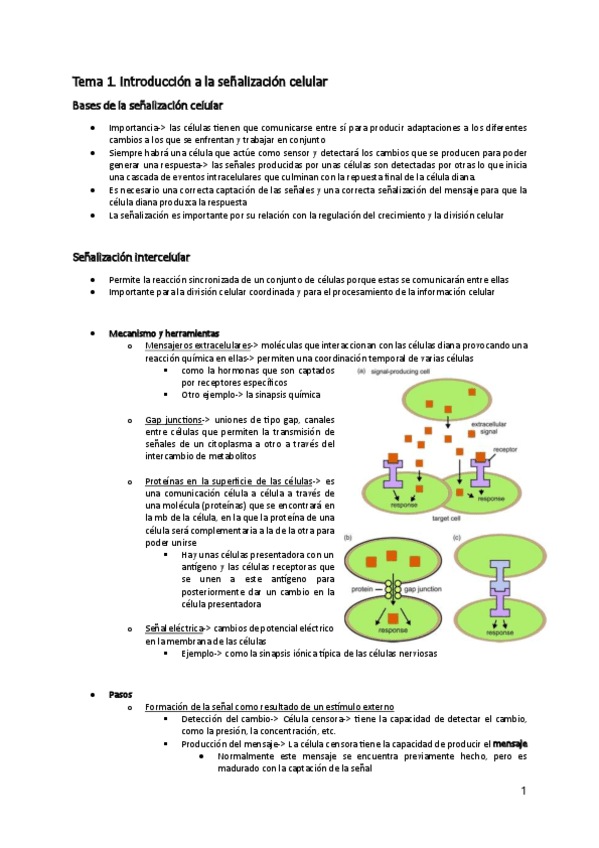 Senalizacion-celular.pdf