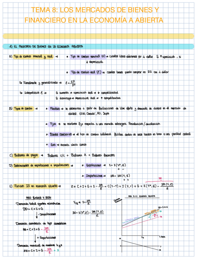 Apuntes-Tema-8-y-Tema-9.pdf