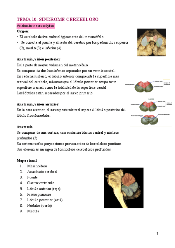 tema-10-sindrome-cerebelosopdf.pdf