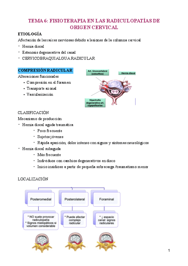 TEMA-6-Arguisuelaspdf.pdf