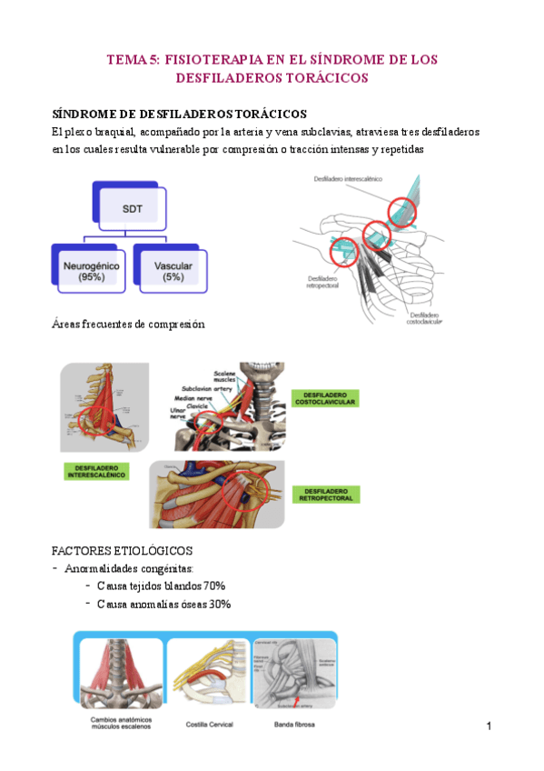 TEMA-5-Arguisuelaspdf.pdf