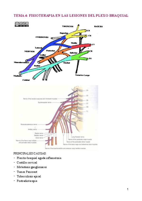 TEMA-4-Arguisuelaspdf.pdf