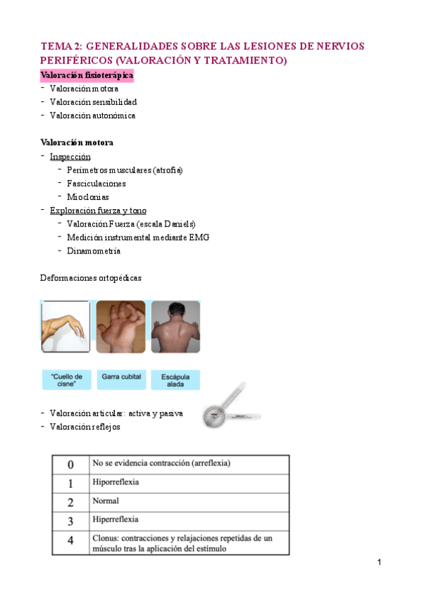 TEMA-2-Arguisuelaspdf.pdf