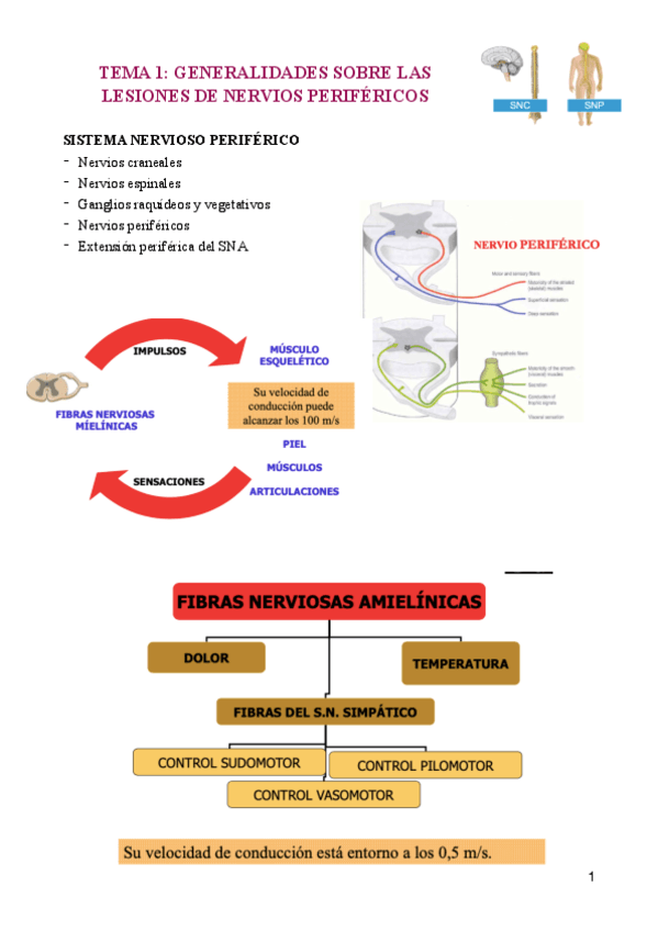 TEMA-1-Arguisuelaspdf.pdf