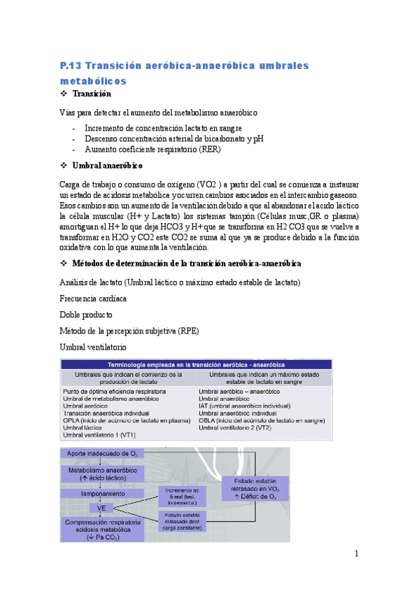 Apuntes-Practicas-Fisiologia.pdf