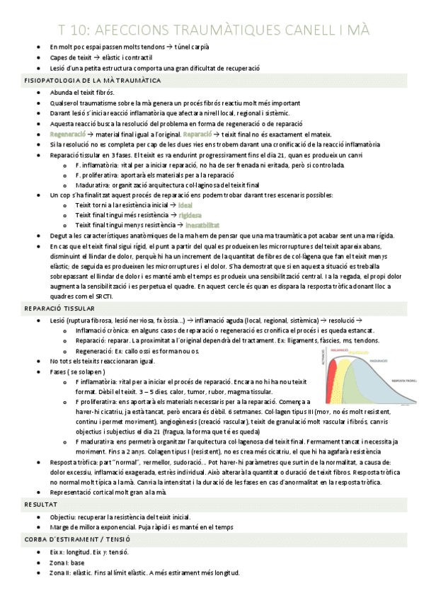Tema-10-FEC-I.pdf