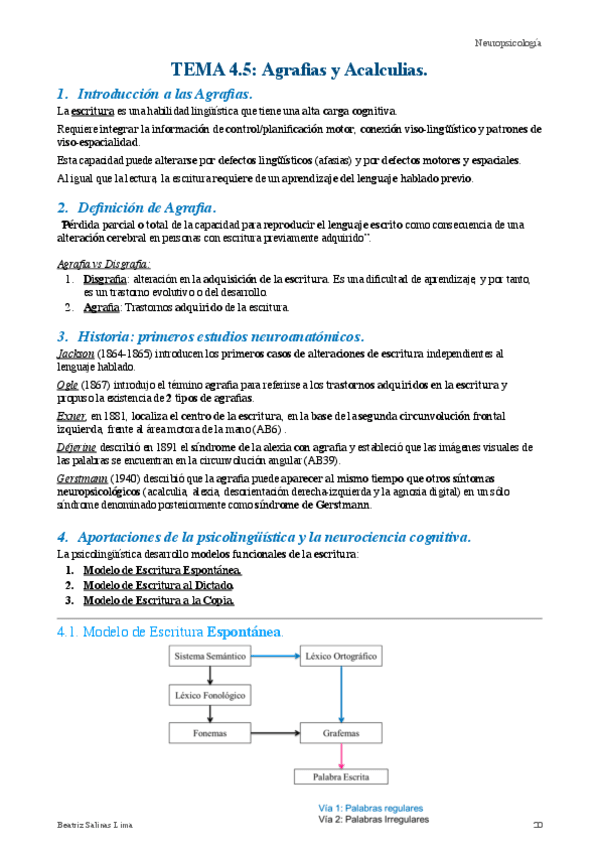 agrafias-y-acalculias.pdf