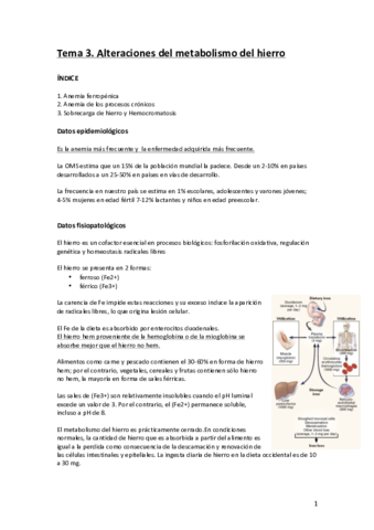Tema 3-alteraciones metabolismo del hierro.pdf