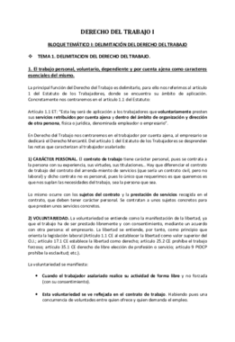 DERECHO DEL TRABAJO I.pdf