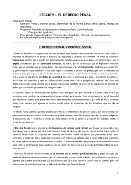 DERECHO PENAL I.pdf