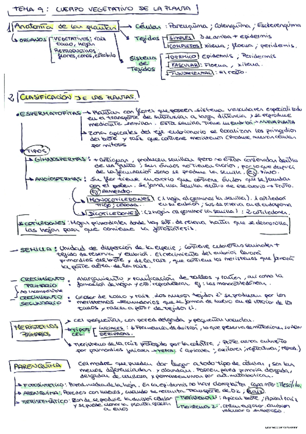 Biologia-Apuntes-temas-789101214.pdf