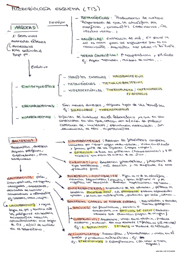 Biologia-Microbiologia-13-14-15.pdf