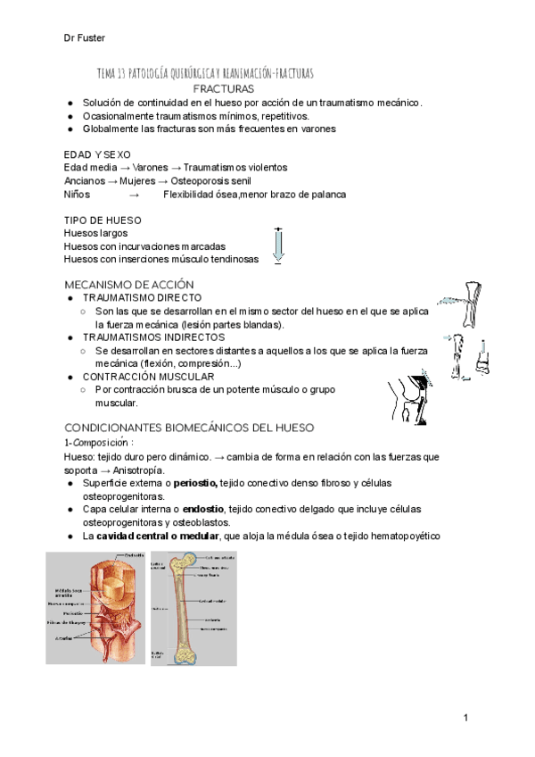 TEMA-13-PATOLOGIA-QUIRURGICA-Y-REANIMACION.pdf