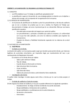 Auditoría_5_y_6_.pdf