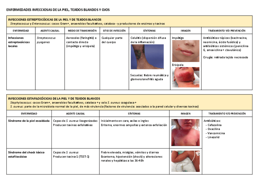 Tablas resumen Microbiología II.pdf