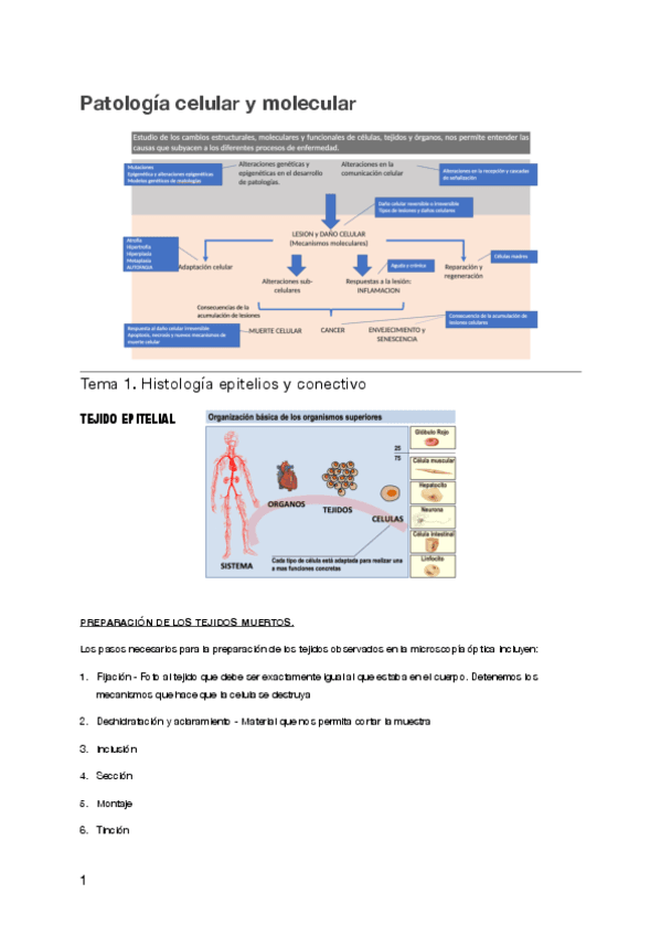 Patologia-celular-y-molecular.pdf