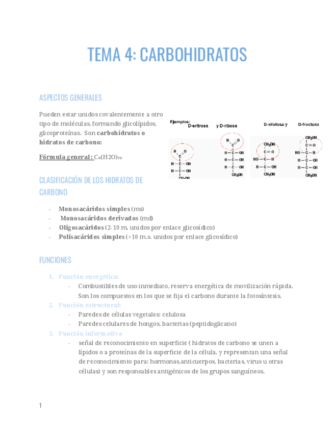 TEMA-4.pdf