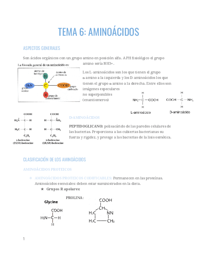 TEMA-6.pdf
