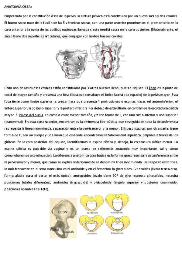 teorica-JUDITH-LLEBERIA.pdf