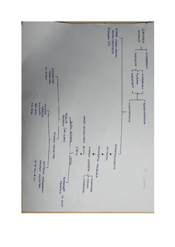 ESKEMAK-PROZESAL.pdf
