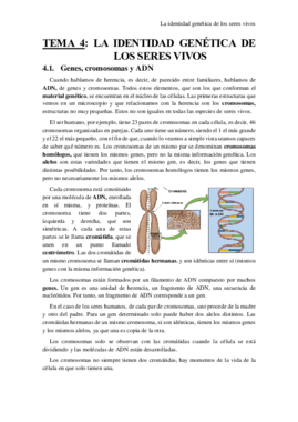 TEMA 4.docx.pdf