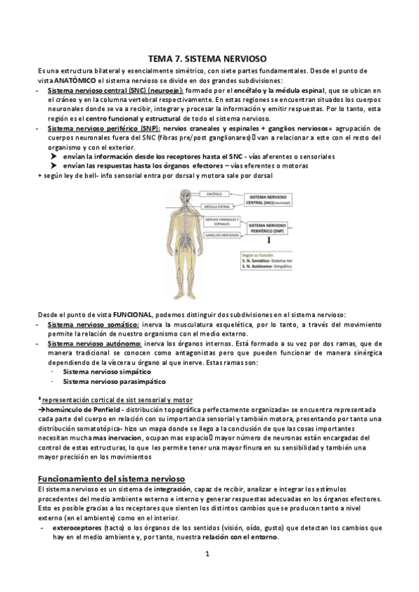 T-7-9.SN-SENSORIAL.pdf
