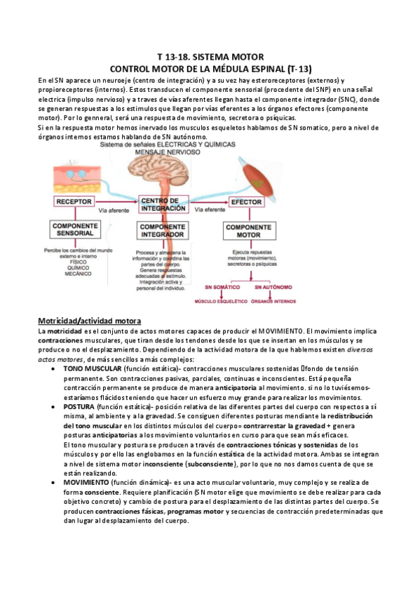T-13-18.SIST-MOTOR.pdf