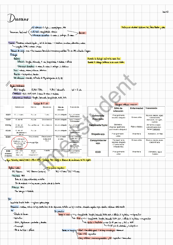 2do-parcial-TODO-unido.pdf