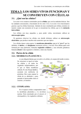 TEMA 3.pdf