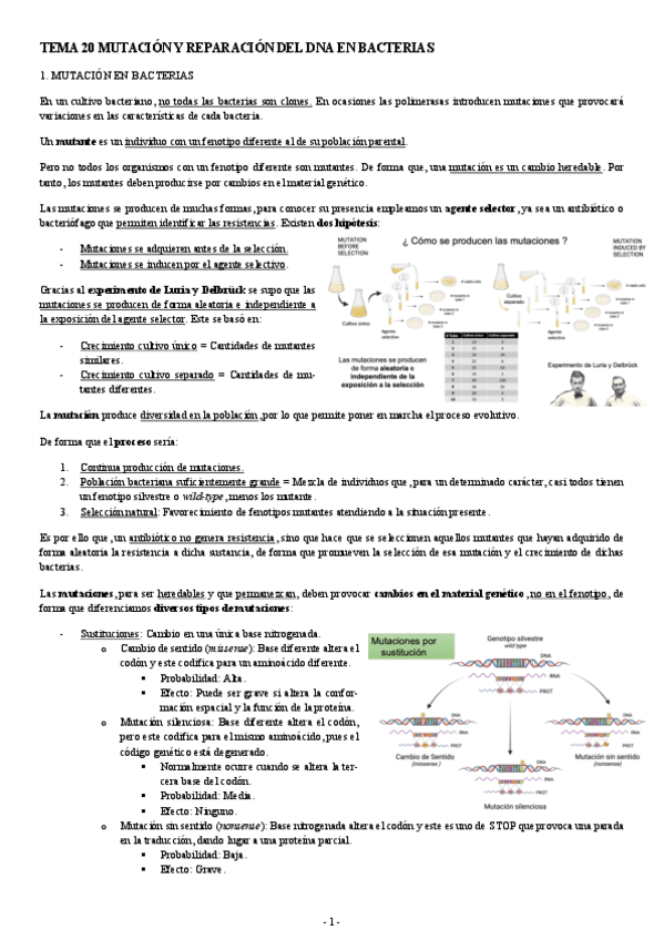 MICROBIOLOGIA-TEMA-20-MUTACION-Y-REPARACION-DEL-DNA-EN-BACTERIAS.pdf
