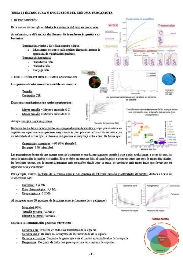 MICROBIOLOGIA-TEMA-22-ESTRUCTURA-Y-EVOLUCION-DEL-GENOMA-PROCARIOTA.pdf