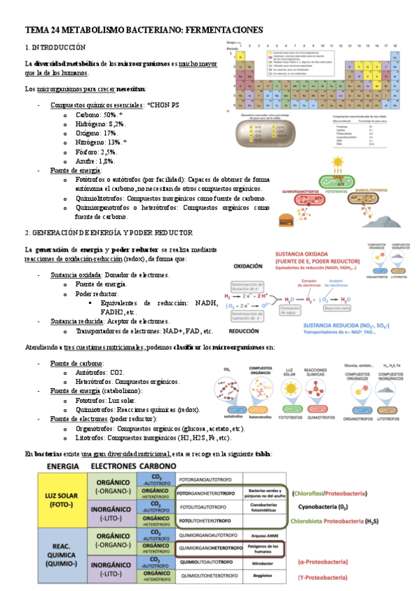 MICROBIOLOGIA-TEMA-24-METABOLISMO-BACTERIANO-FERMENTACIONES.pdf