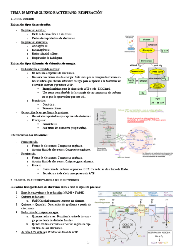 MICROBIOLOGIA-TEMA-25-METABOLISMO-BACTERIANO-RESPIRACION.pdf
