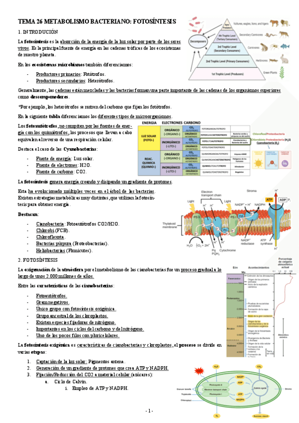 MICROBIOLOGIA-TEMA-26-METABOLISMO-BACTERIANO-FOTOSINTESIS.pdf