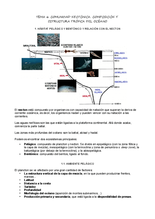T6_Comunidad nectónica.pdf