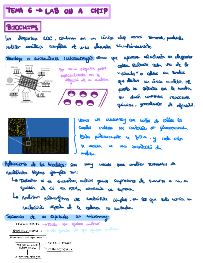 Tema-6.pdf