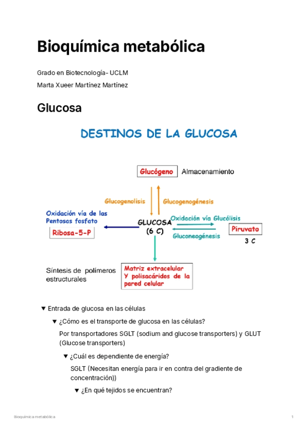 Bioquimica-metabolica-T1-6.pdf