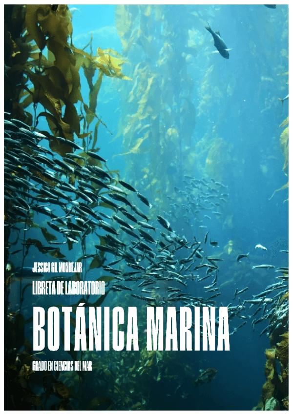 LIBRETA-PRÁCTICA DE LABORATORIO.pdf