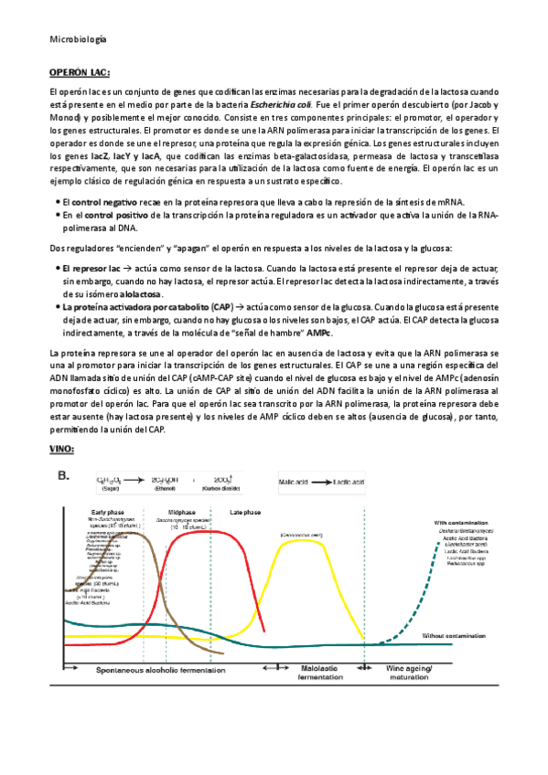 Desarrollo-examen-mayo.pdf