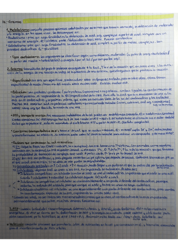 Bloque-3-Metabolismo.pdf