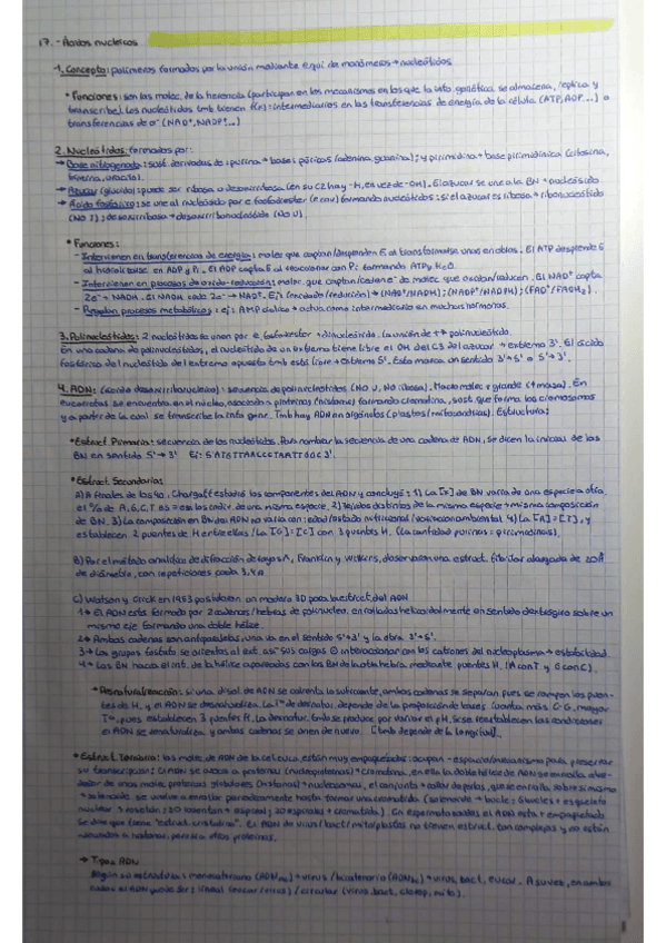 Bloque-4-Acidos-nucleicosTranscripcionetc....pdf
