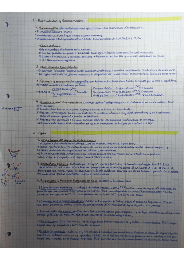 Bloque-1-Biomoleculas.pdf