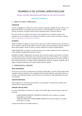 2 DESARROLLO DEL SISTEMA CARDIOVASCULAR (2).pdf