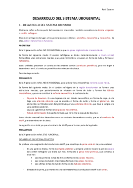 3 DESARROLLO DEL SISTEMA UROGENITAL (2).pdf