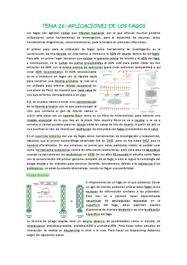 Tema-26.pdf
