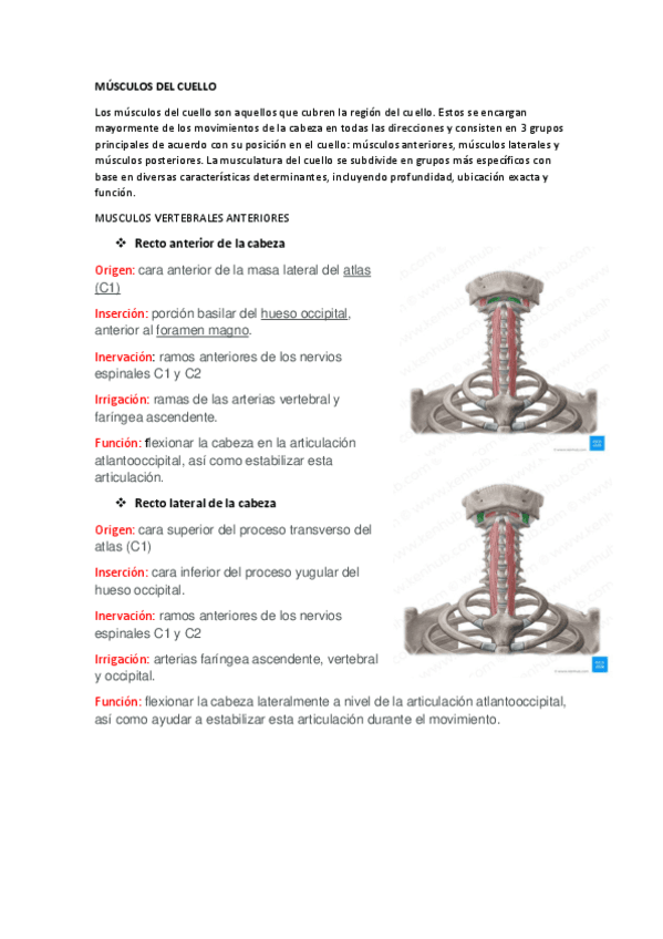 MUSCULOS-DEL-CUELLO.pdf