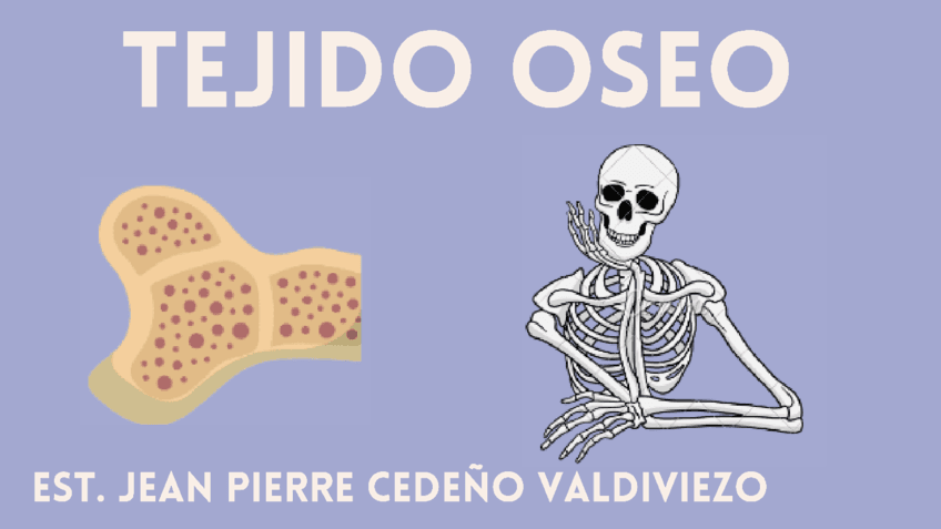 HISTOLOGIA-TEJIDO-OSEO.pdf